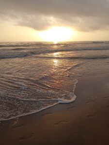 strand.wellen.bewegt.indien.